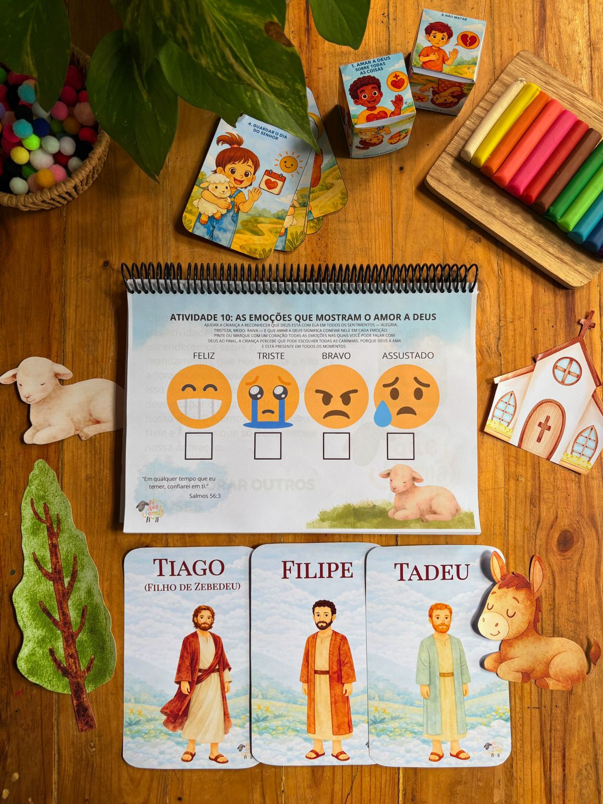 WhatsApp Image 2026-02-09 at 14.00.39