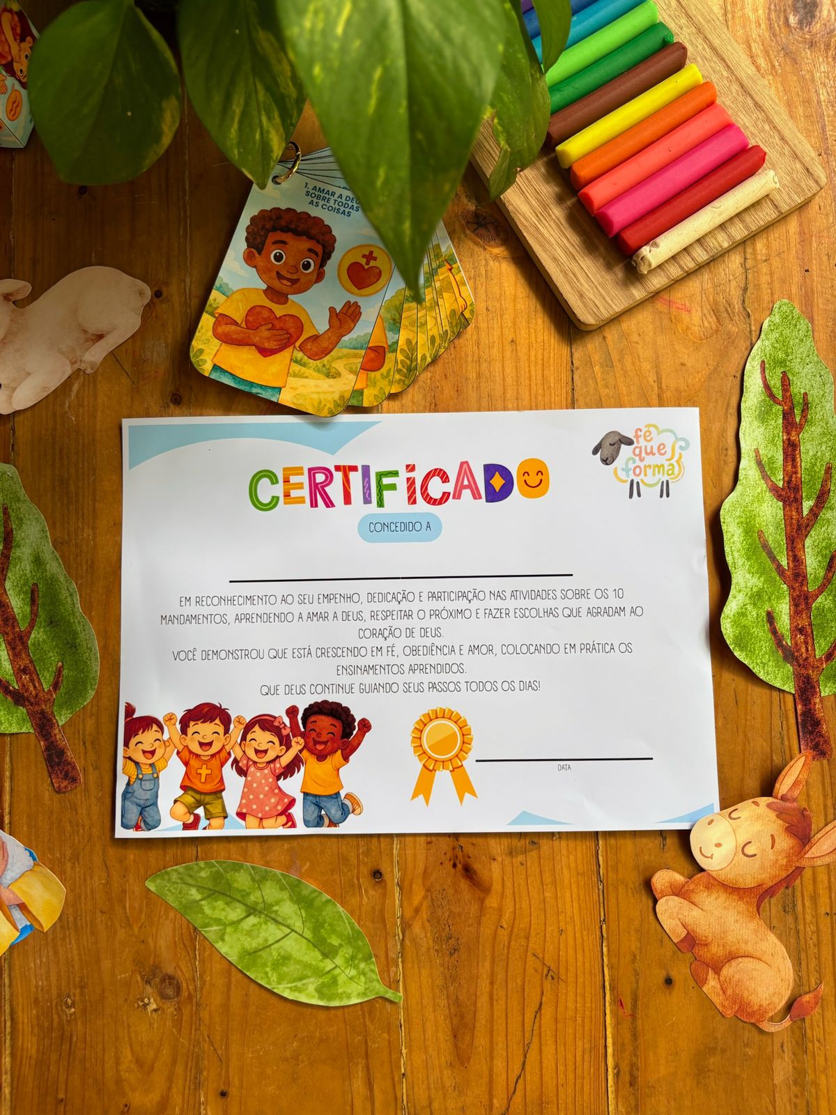 WhatsApp Image 2026-02-09 at 14.00.41 (1)